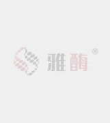 PE Mouse IgG2b, κ Isotype Ctrl Antibody  [11H73I47]