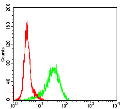 Anti-GSK3 beta Mouse mAb [72K74K70]
