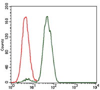 Anti-NCK1 Mouse mAb [35L71K83]