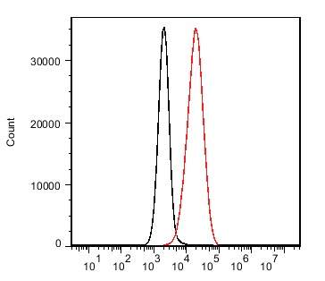 Anti-CD19 Mouse mAb [53L59L37]