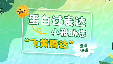 精品推荐 | 雅酶蛋白过表达试剂盒