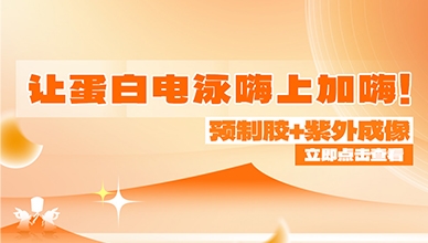 预制胶+紫外成像 让蛋白电泳嗨上加嗨！