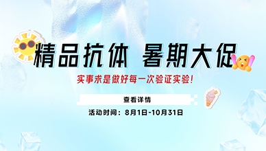 精品抗体 暑期大促