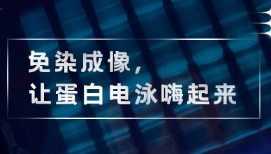 免染成像，让蛋白电泳嗨起来