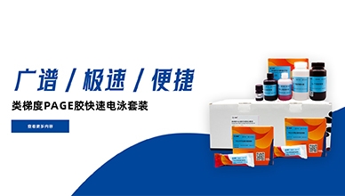 新品来袭——类梯度PAGE胶快速电泳套装