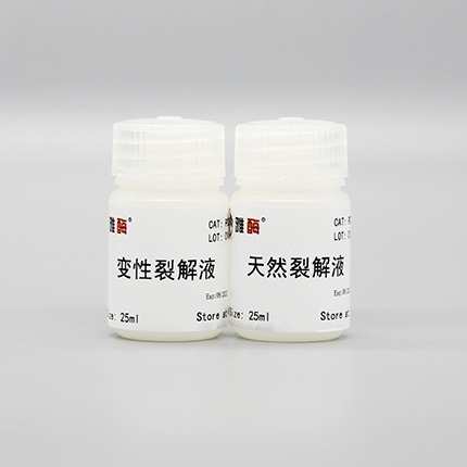 柱式动物组织/细胞总蛋白抽提试剂盒