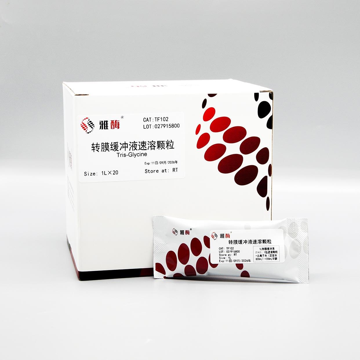 转膜缓冲液速溶颗粒
