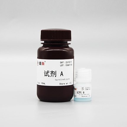 Omni-Easy™即用型BCA蛋白定量试剂盒