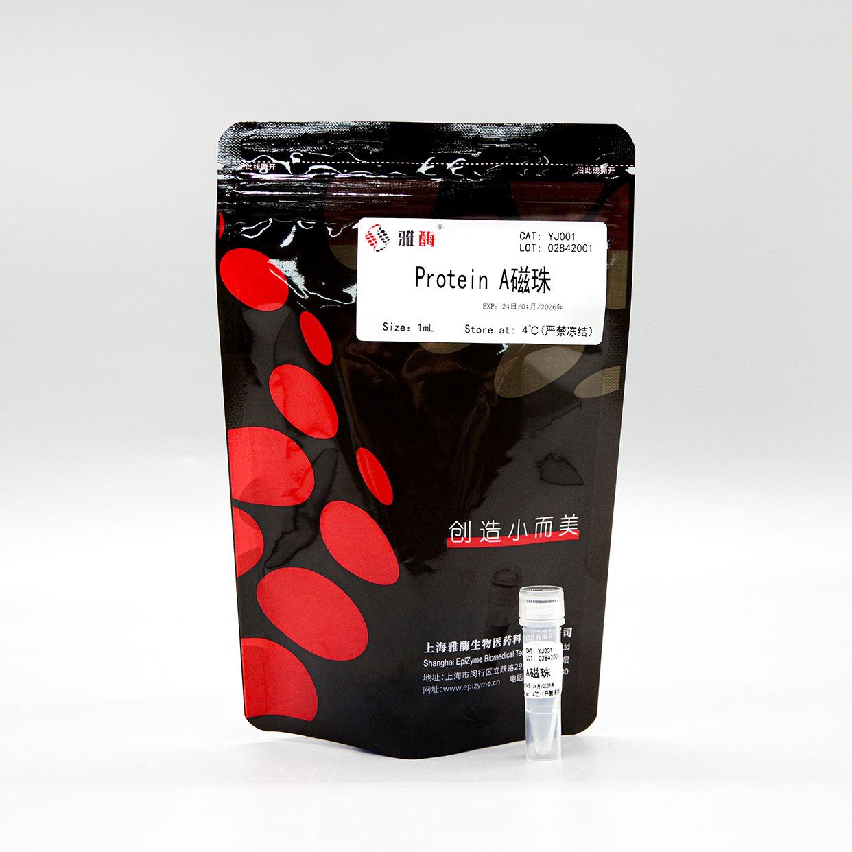 Protein A磁珠