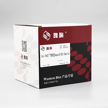 Omni-PAGE™ 预制胶 Hepes 8~20%,15 wells
