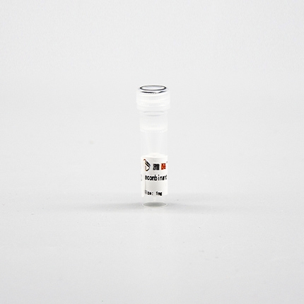 Recombinant Protein A/G(冻干)