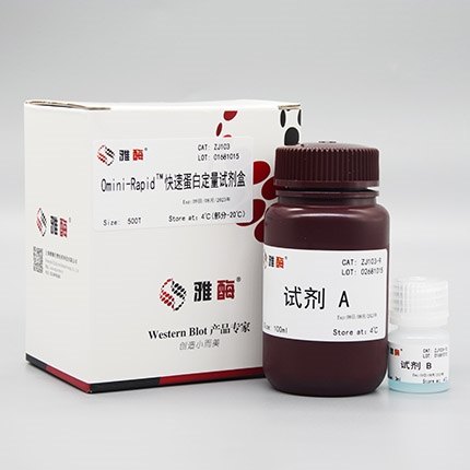 Omni-Rapid™快速蛋白定量试剂盒