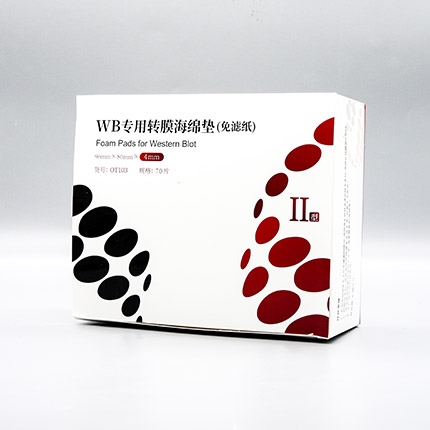 WB专用转膜海绵垫(免滤纸)II型 推荐用于4块胶转印仪