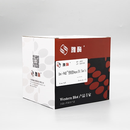 Omni-PAGE™ 预制胶 Hepes 8%,10 wells