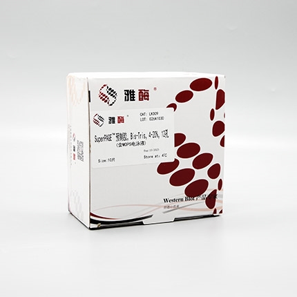 SuperPAGE™ 预制胶，Bis-Tris，4~20%，12孔(含MOPS电泳液)(即将下架)
