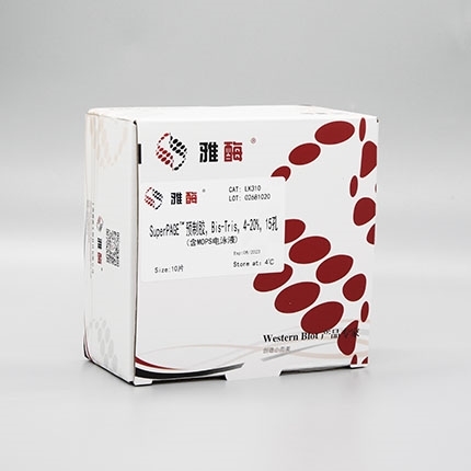 SuperPAGE™ 预制胶，Bis-Tris，4~20%，15孔(含MOPS电泳液)(即将下架)
