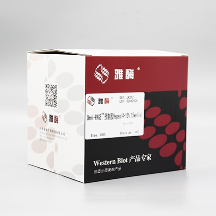Omni-PAGE™ 预制胶 Hepes 4~15%,15 wells