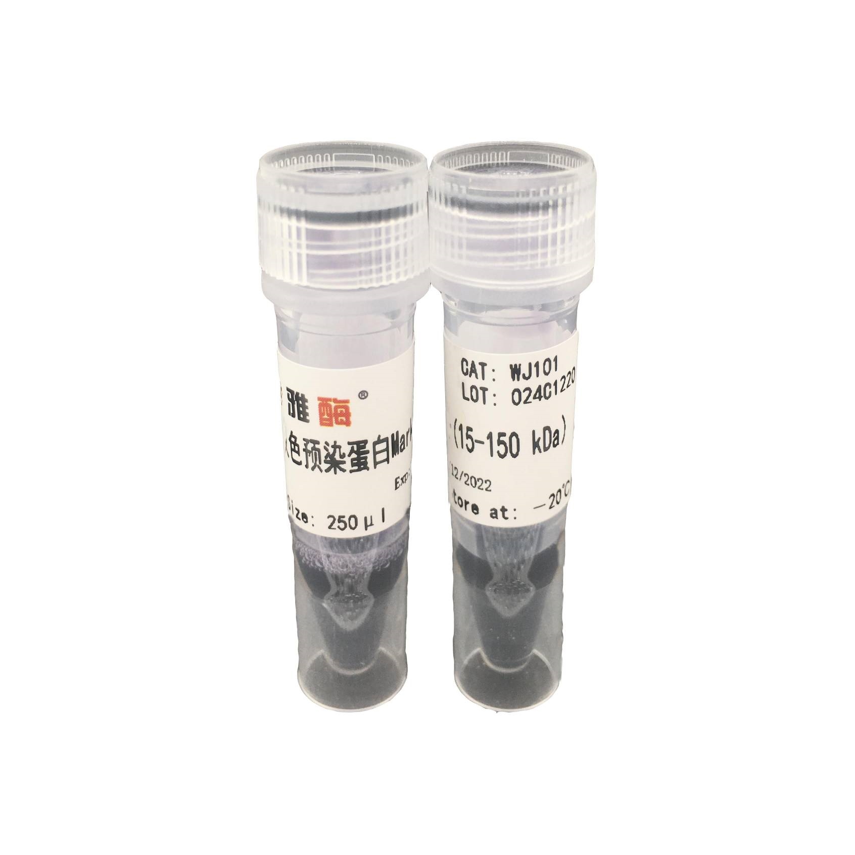 双色预染蛋白Marker 15 kDa~150 kDa