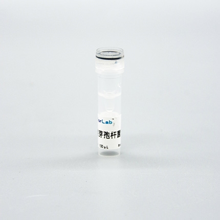 类芽孢杆菌清除剂(2000×)