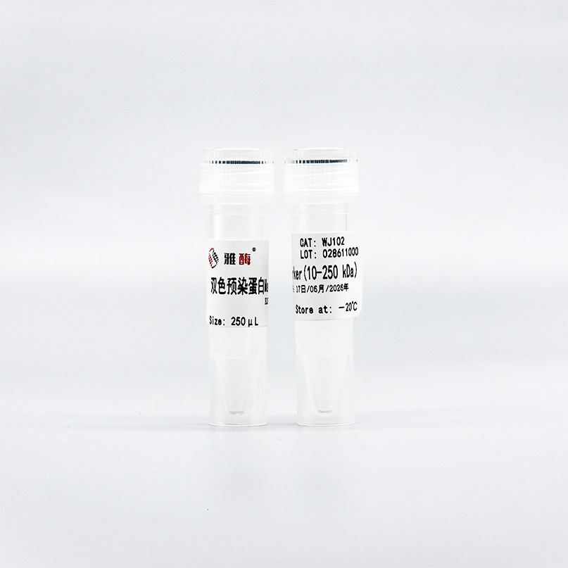 双色预染蛋白Marker 10 kDa~250 kDa