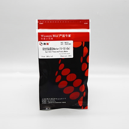 双色预染蛋白Marker 15 kDa~150 kDa
