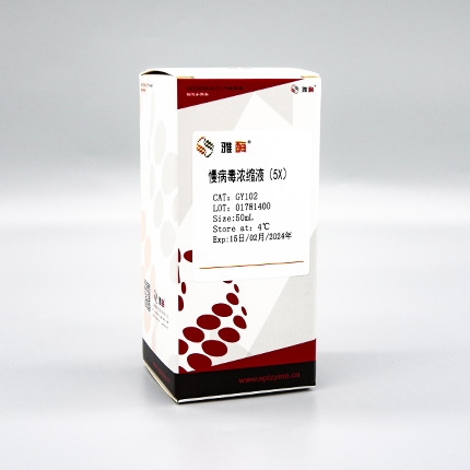 慢病毒浓缩液(5×)