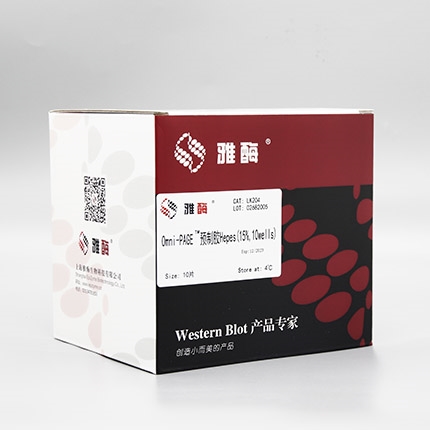 Omni-PAGE™ 预制胶 Hepes 15%,10 wells