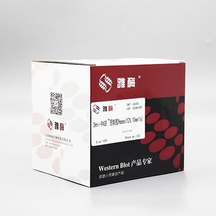 Omni-PAGE™ 预制胶 Hepes 12%,10 wells