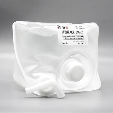 转膜缓冲液(10×)