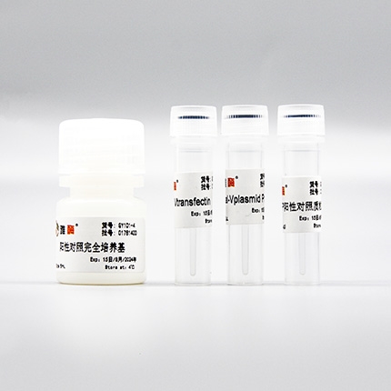 快速慢病毒包装试剂盒