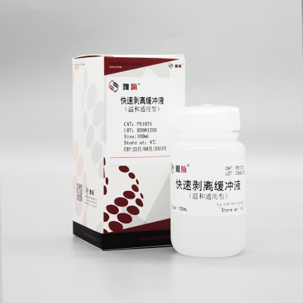 WB抗体快速剥离缓冲液(温和通用型)