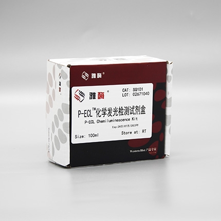 Omni-ECL™增强型化学发光检测试剂盒(皮克级)