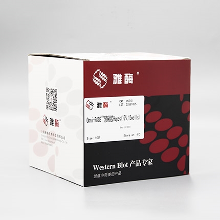 Omni-PAGE™ 预制胶 Hepes 12%,15 wells