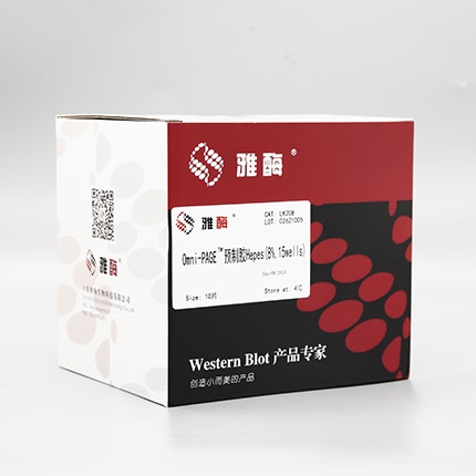 Omni-PAGE™ 预制胶 Hepes 8%,15 wells