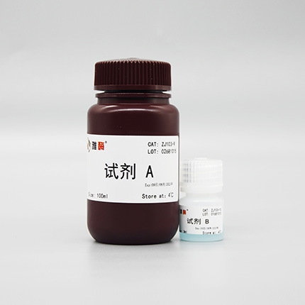 Omni-Rapid™快速蛋白定量试剂盒