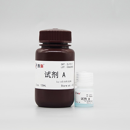 BCA蛋白定量试剂盒
