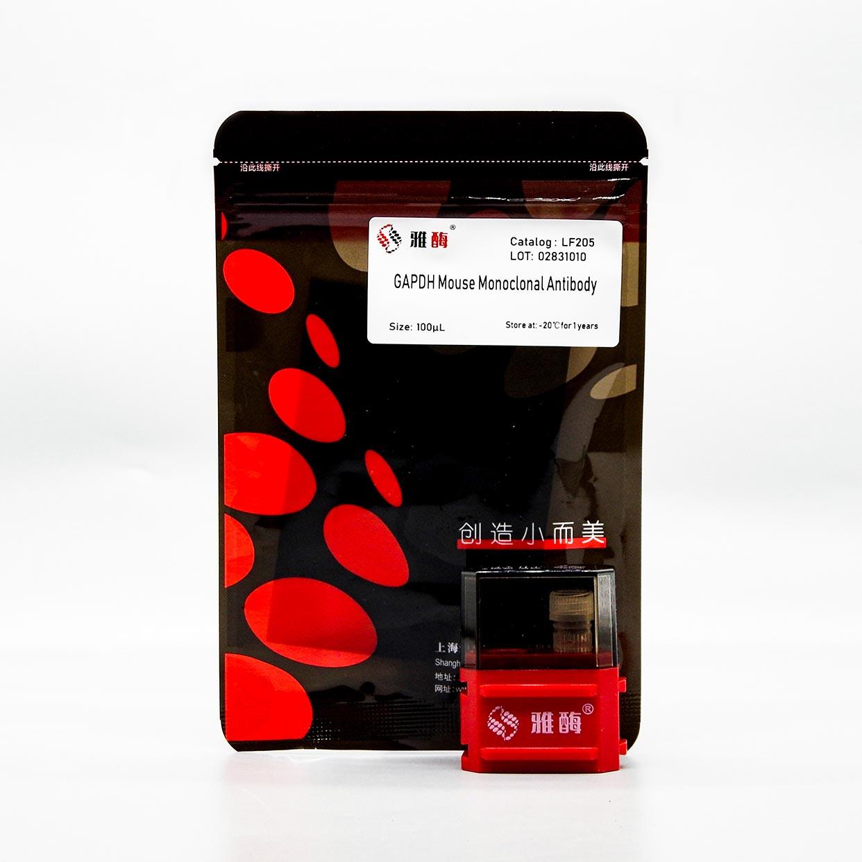 GAPDH鼠单克隆抗体