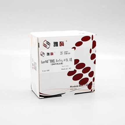 SuperPAGE™ 预制胶，Bis-Tris，4~12%，12孔(含MOPS电泳液)(即将下架)