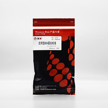 Omni-Easy™即用型BCA蛋白定量试剂盒