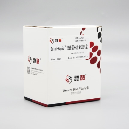 Omni-Rapid™快速蛋白定量试剂盒
