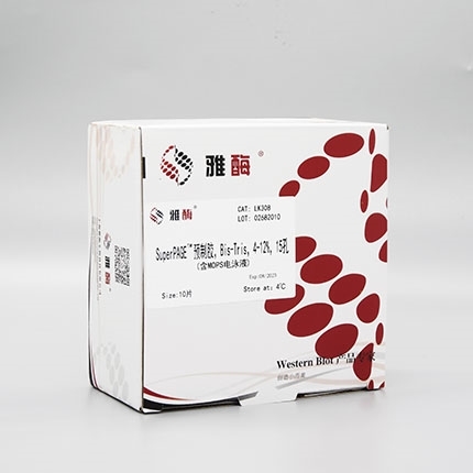 SuperPAGE™ 预制胶，Bis-Tris，4~12%，15孔(含MOPS电泳液)(即将下架)
