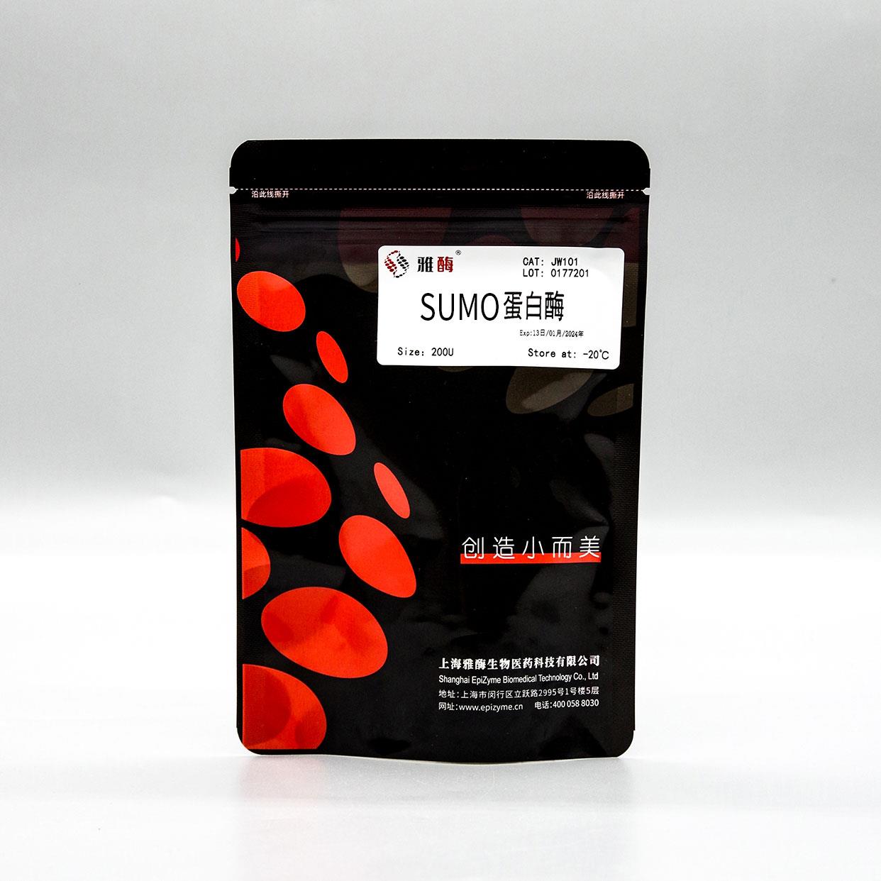 SUMO蛋白酶