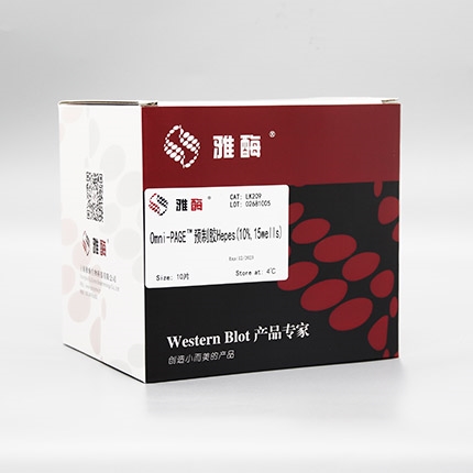 Omni-PAGE™ 预制胶 Hepes 10%,15 wells
