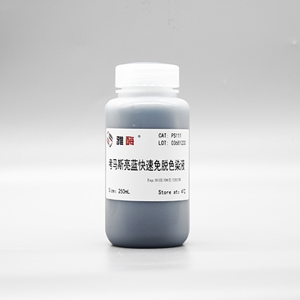 考马斯亮蓝快速染液(免脱色)
