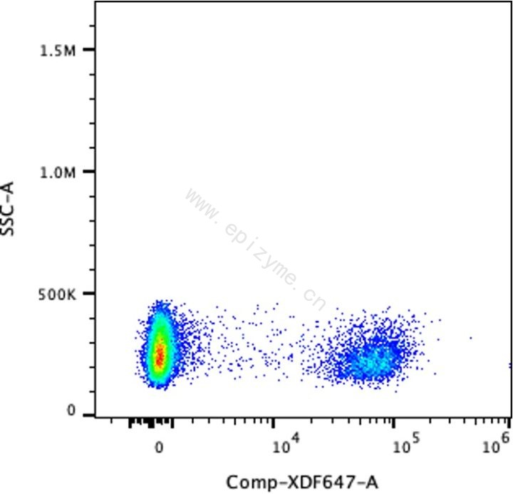 Anti-CD19 Mouse mAb [66E25M53]