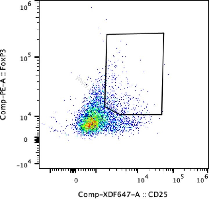 Anti-CD25 Mouse mAb [84R97B13]