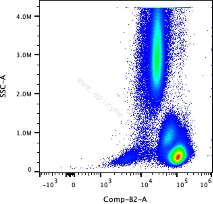 Anti-CD45 Mouse mAb [83J75S36]