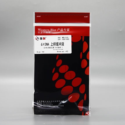 6×DNA上样缓冲液(含高灵敏无毒染料)