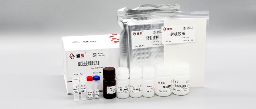 Human Tenascin-C/TNC ELISA Kit