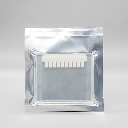 Omni-PAGE™ 预制胶 Hepes 8%,10 wells